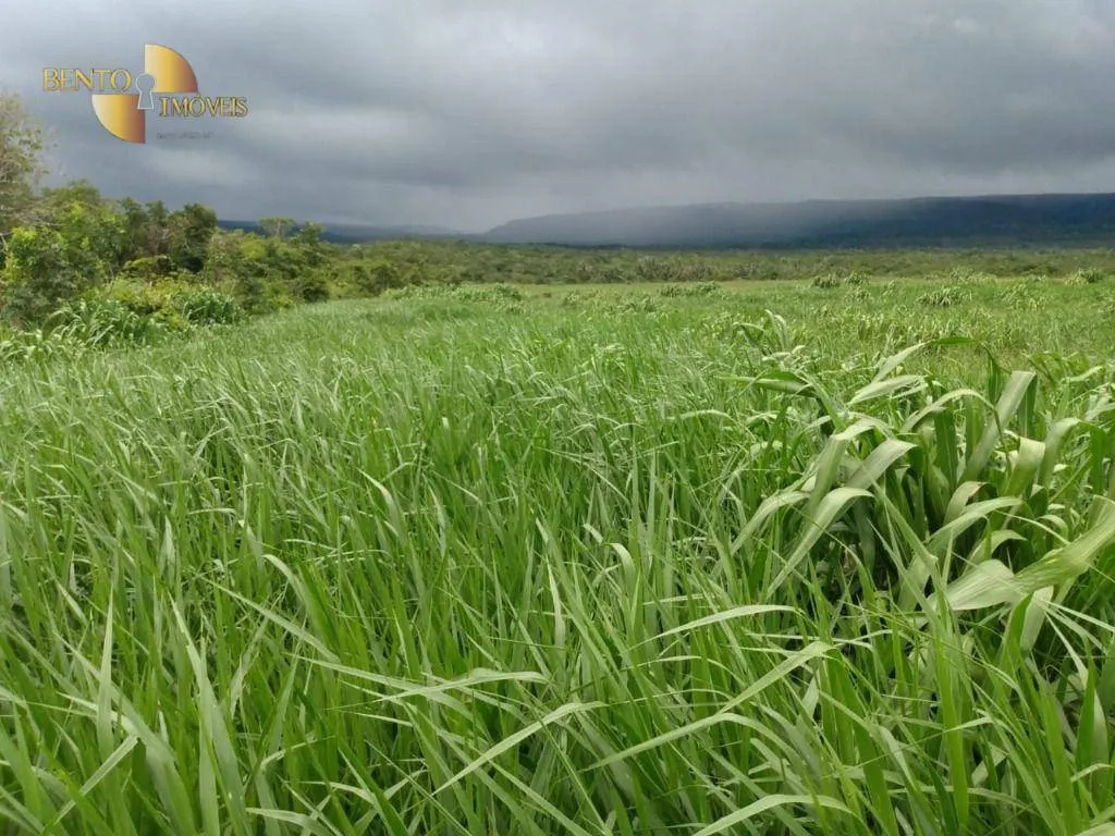 Fazenda à venda de 1.600 ha em Rosário Oeste, MT, Brasil