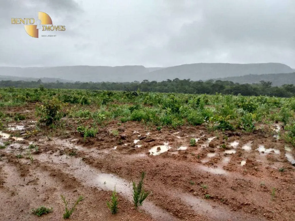 Fazenda à venda de 1.600 ha em Rosário Oeste, MT, Brasil