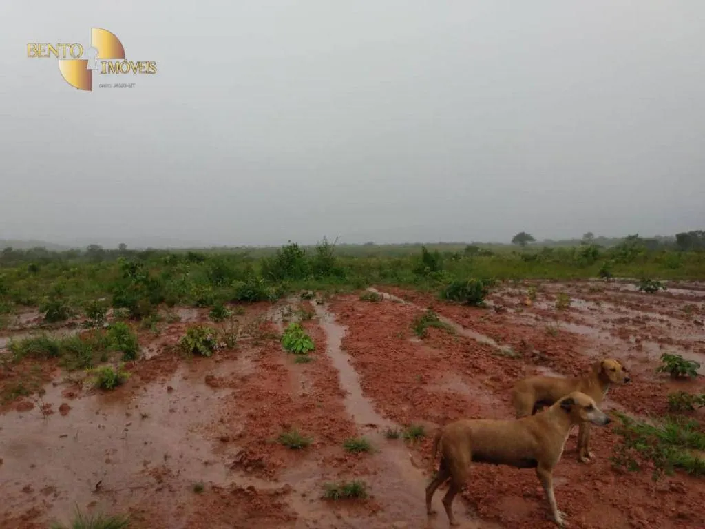 Fazenda à venda de 1.600 ha em Rosário Oeste, MT, Brasil
