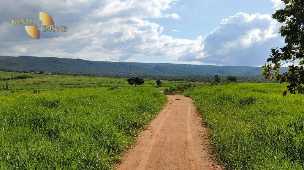 Fazenda à venda de 1.600 ha em Rosário Oeste, MT, Brasil