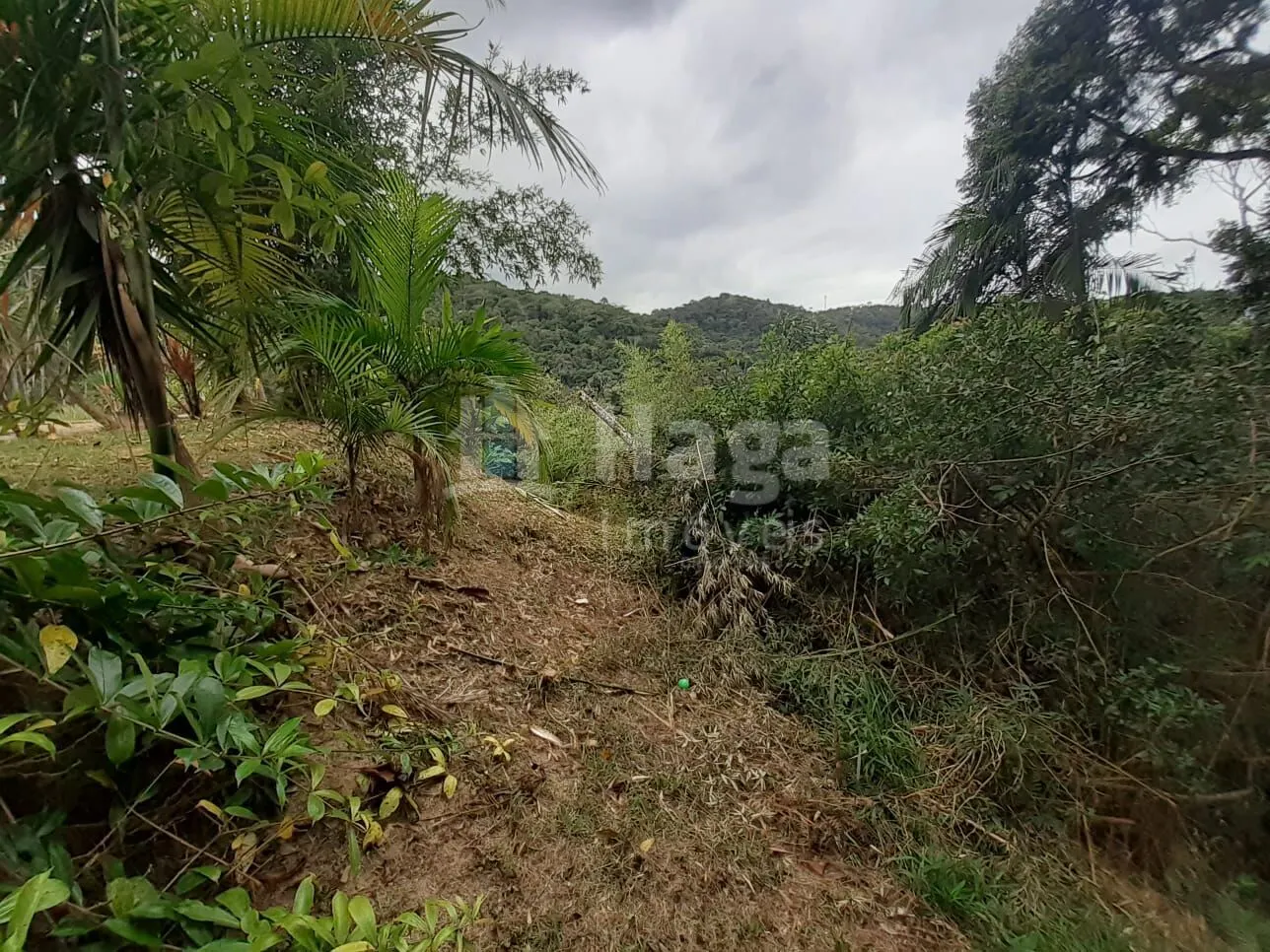 Terreno à venda de 988 m² em Brusque, SC, Brasil