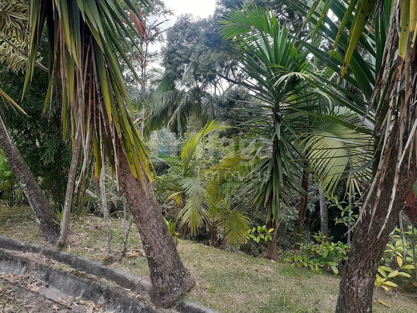 Terreno à venda de 988 m² em Brusque, SC, Brasil
