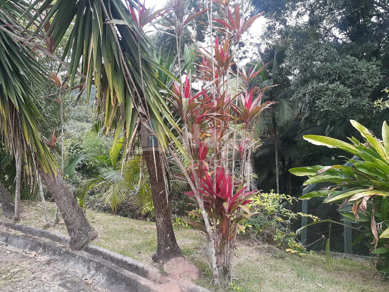 Terreno à venda de 988 m² em Brusque, SC, Brasil