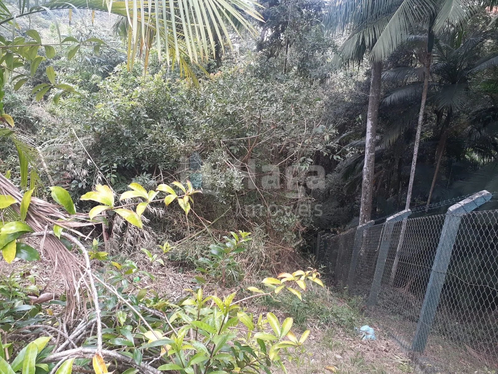 Terreno à venda de 988 m² em Brusque, SC, Brasil