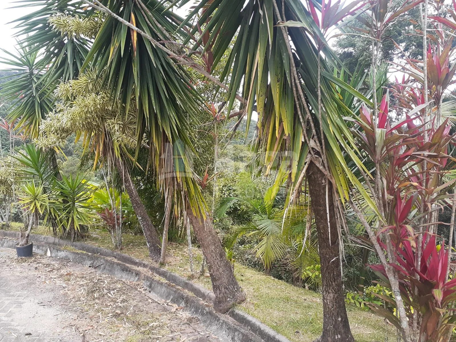 Terreno à venda de 988 m² em Brusque, SC, Brasil