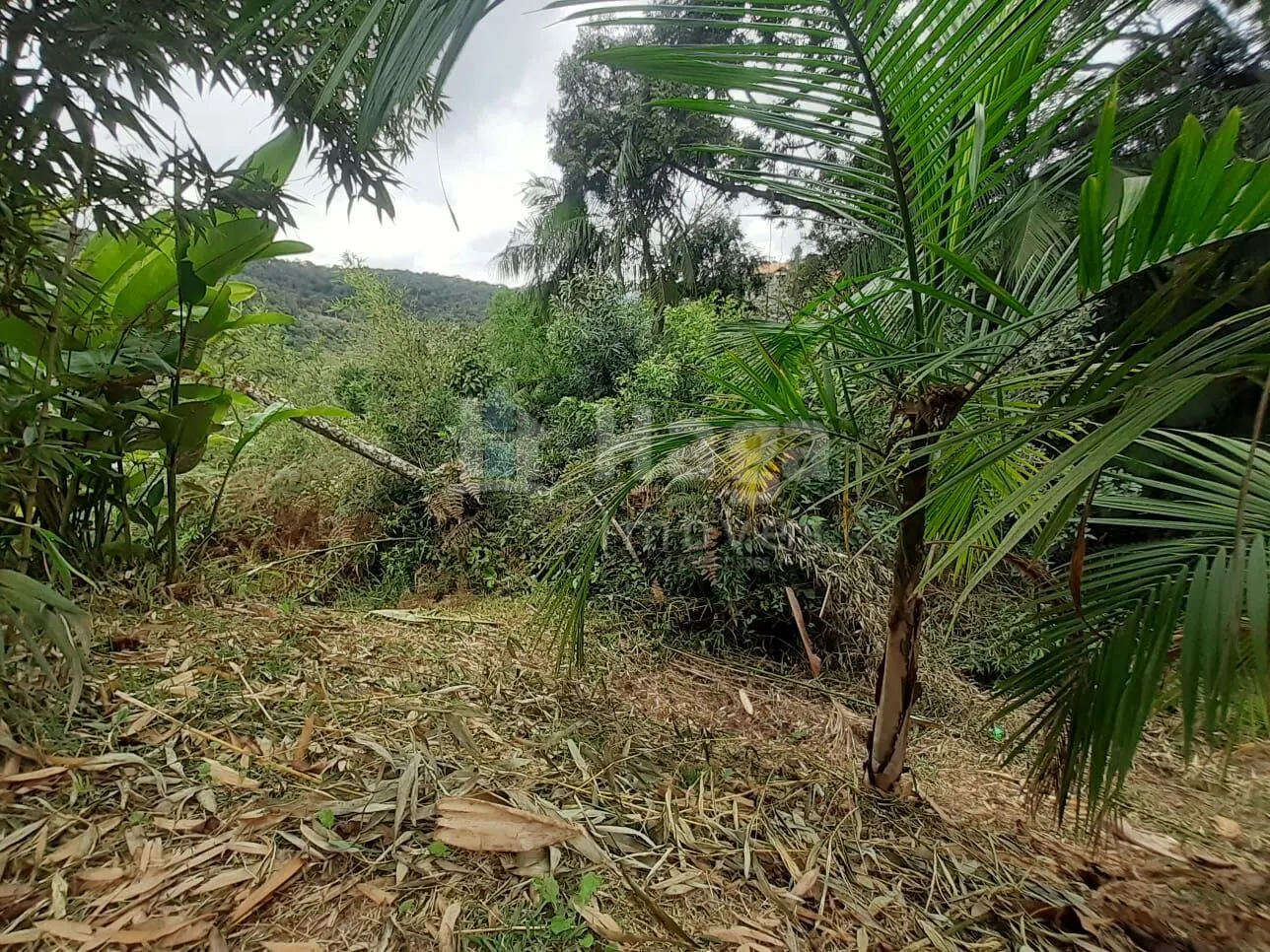 Terreno à venda de 988 m² em Brusque, SC, Brasil