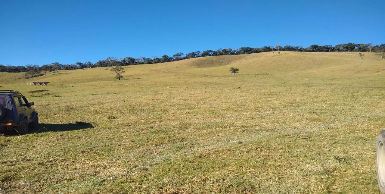 Fazenda à venda de 250 ha em Cambuí, MG, Brasil