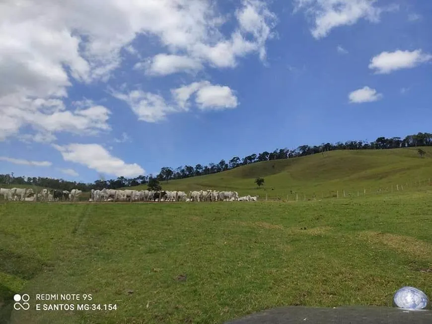Fazenda à venda de 250 ha em Cambuí, MG, Brasil