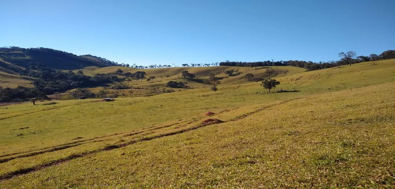 Fazenda à venda de 250 ha em Cambuí, MG, Brasil