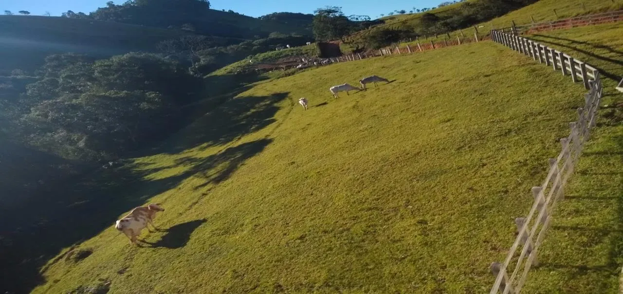 Fazenda à venda de 250 ha em Cambuí, MG, Brasil