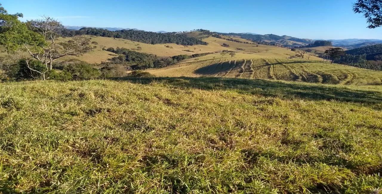 Fazenda à venda de 250 ha em Cambuí, MG, Brasil