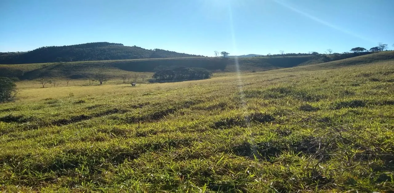Fazenda à venda de 250 ha em Cambuí, MG, Brasil