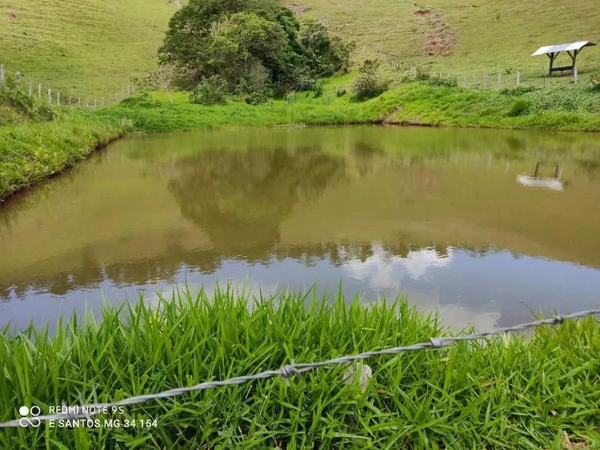 Fazenda à venda de 250 ha em Cambuí, MG, Brasil