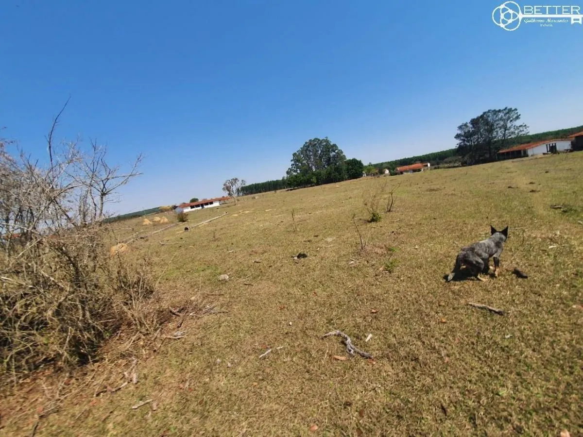 Fazenda à venda de 112 ha em Angatuba, SP, Brasil