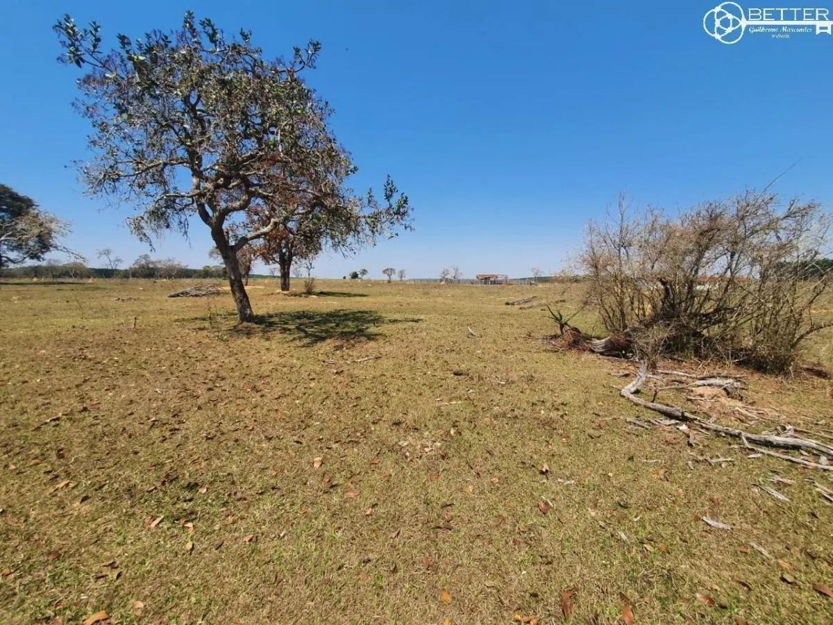 Fazenda à venda de 112 ha em Angatuba, SP, Brasil