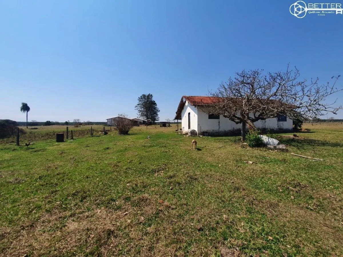 Fazenda à venda de 112 ha em Angatuba, SP, Brasil