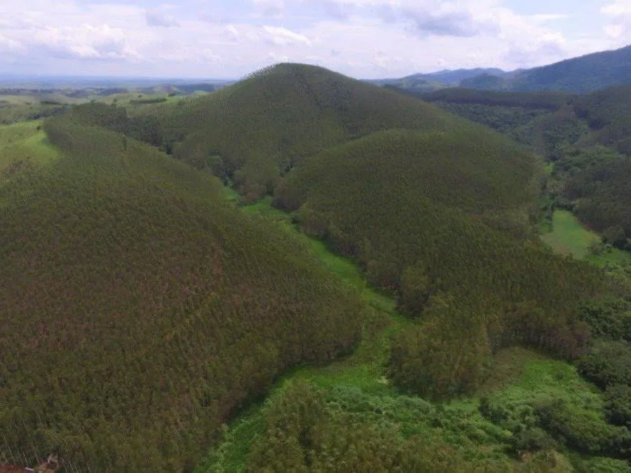 Fazenda à venda de 120 ha em São Paulo, SP, Brasil