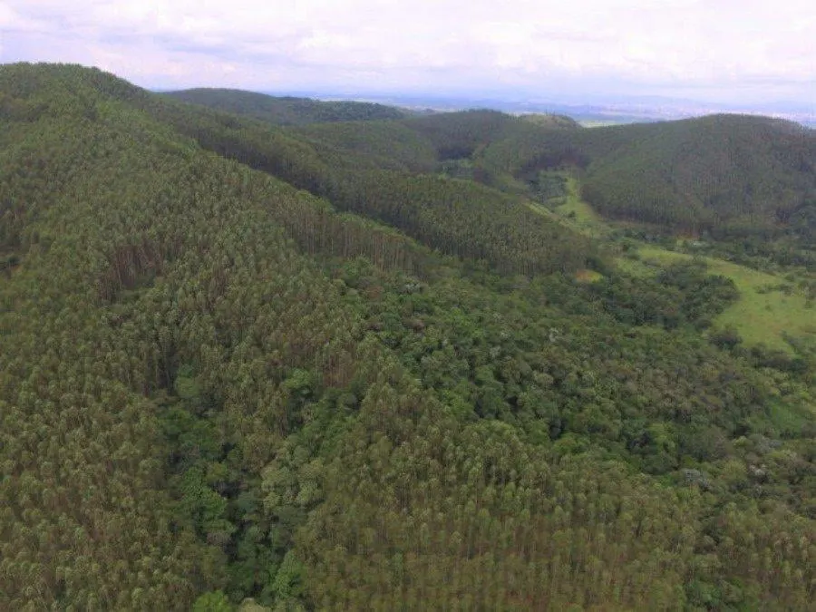 Fazenda à venda de 120 ha em São Paulo, SP, Brasil