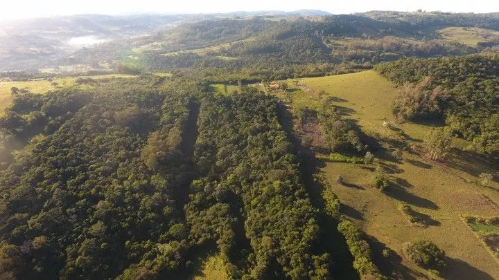 Chácara à venda de 3 ha em Glorinha, RS, Brasil
