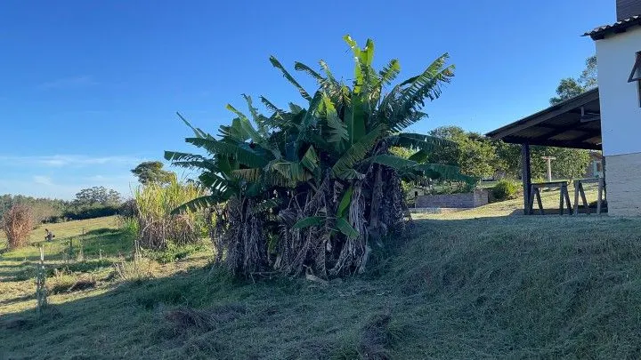 Chácara à venda de 3 ha em Glorinha, RS, Brasil