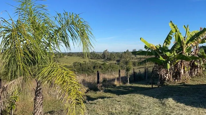 Chácara à venda de 3 ha em Glorinha, RS, Brasil