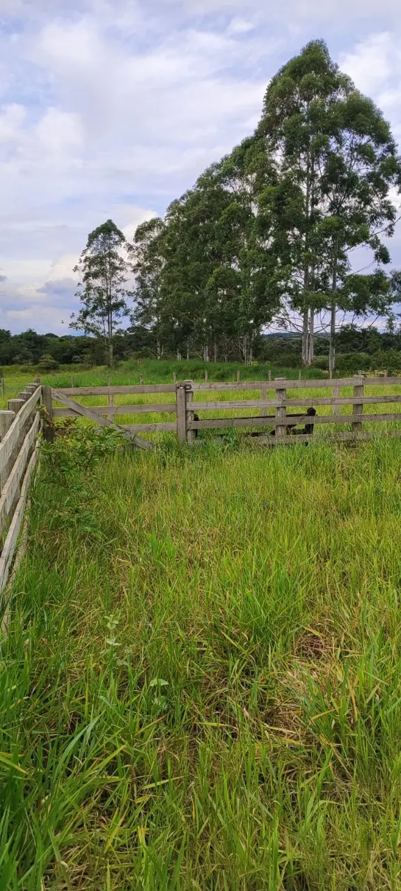 Fazenda à venda de 25 ha em Capela do Alto, SP, Brasil