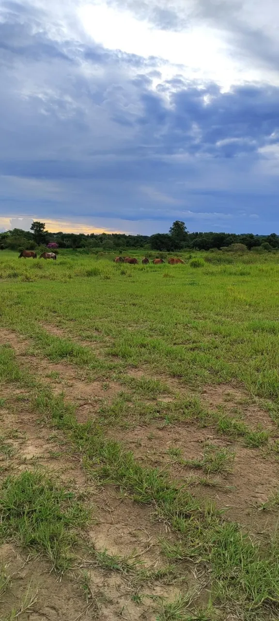 Fazenda à venda de 25 ha em Capela do Alto, SP, Brasil