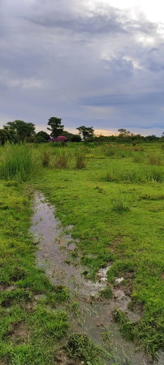 Fazenda à venda de 25 ha em Capela do Alto, SP, Brasil