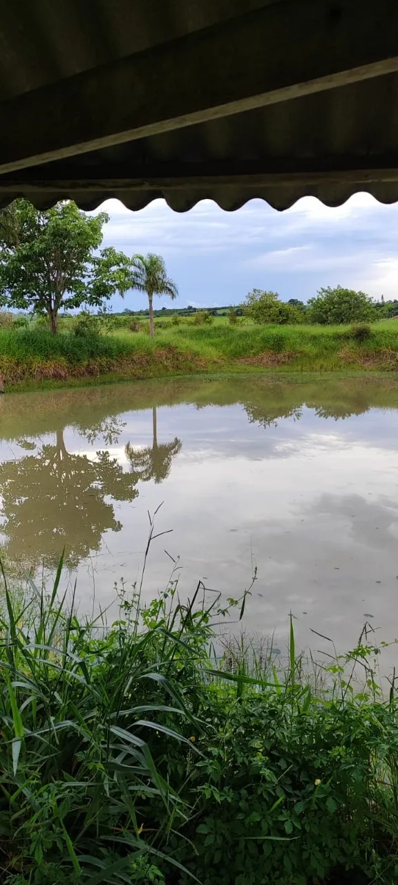 Fazenda à venda de 25 ha em Capela do Alto, SP, Brasil