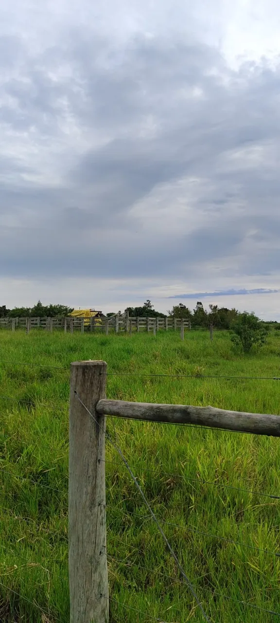 Fazenda à venda de 25 ha em Capela do Alto, SP, Brasil