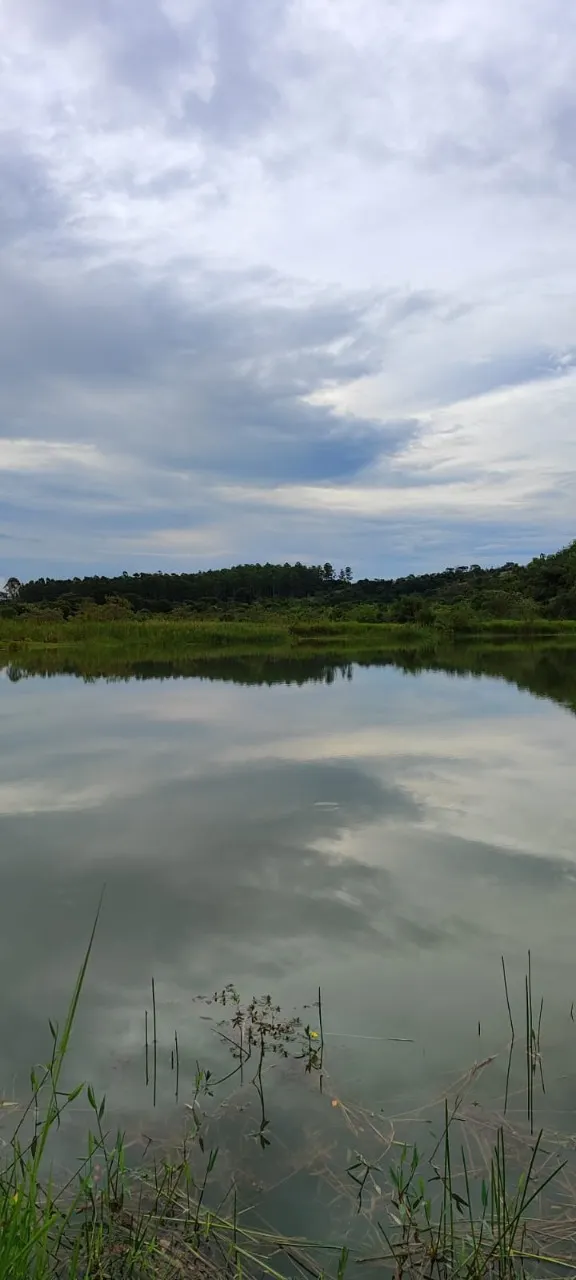 Fazenda à venda de 25 ha em Capela do Alto, SP, Brasil