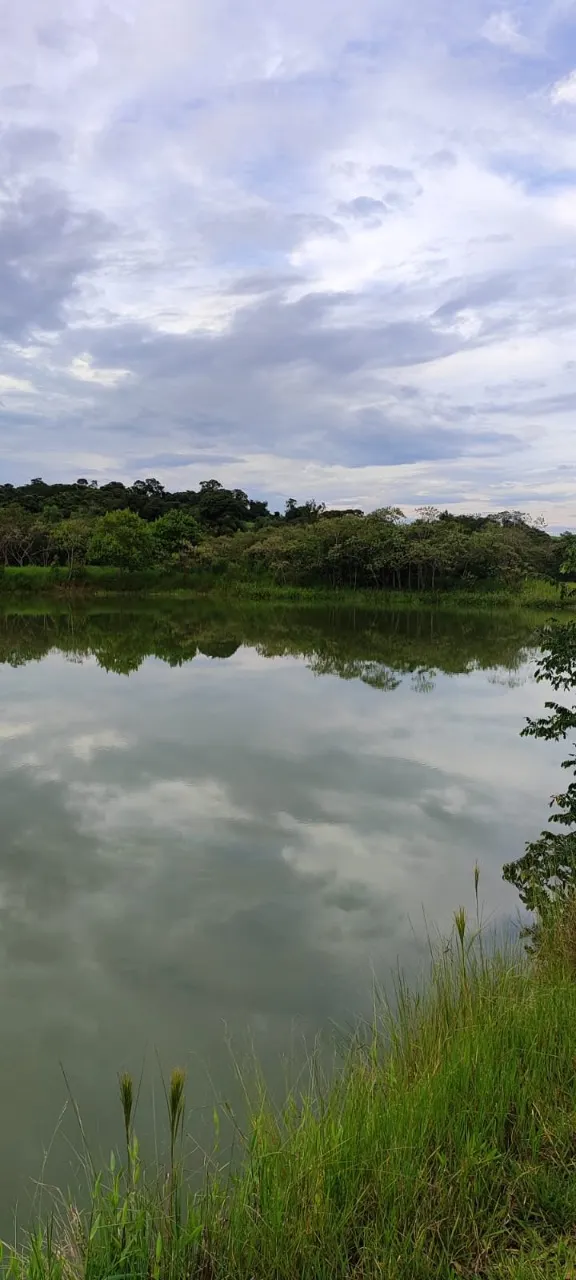 Fazenda à venda de 25 ha em Capela do Alto, SP, Brasil