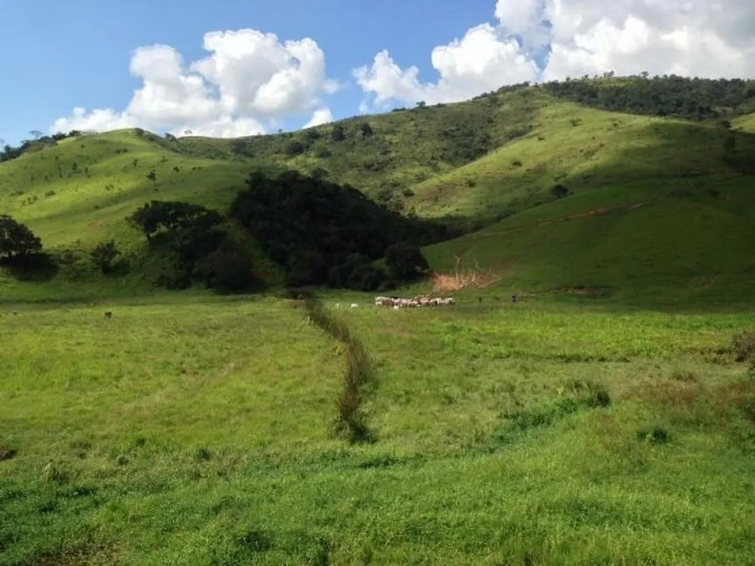 Fazenda à venda de 100 ha em Cunha, SP, Brasil