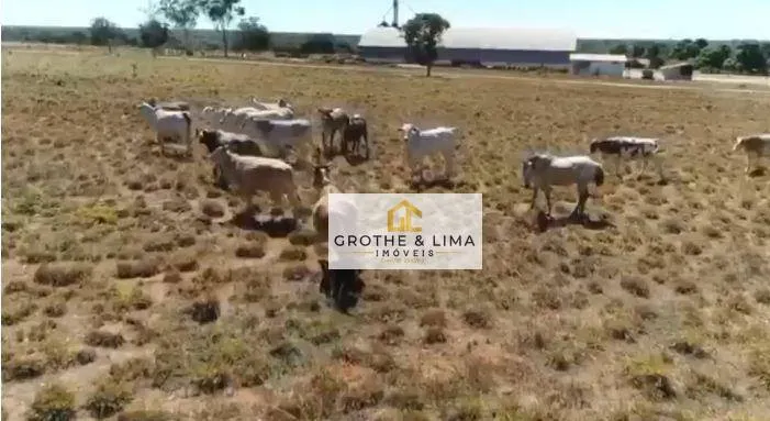 Fazenda à venda de 7.667 ha em Luís Eduardo Magalhães, BA, Brasil