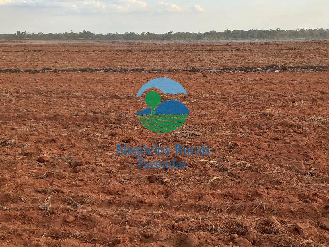 Fazenda à venda de 10.000 ha em Palmas, TO, Brasil