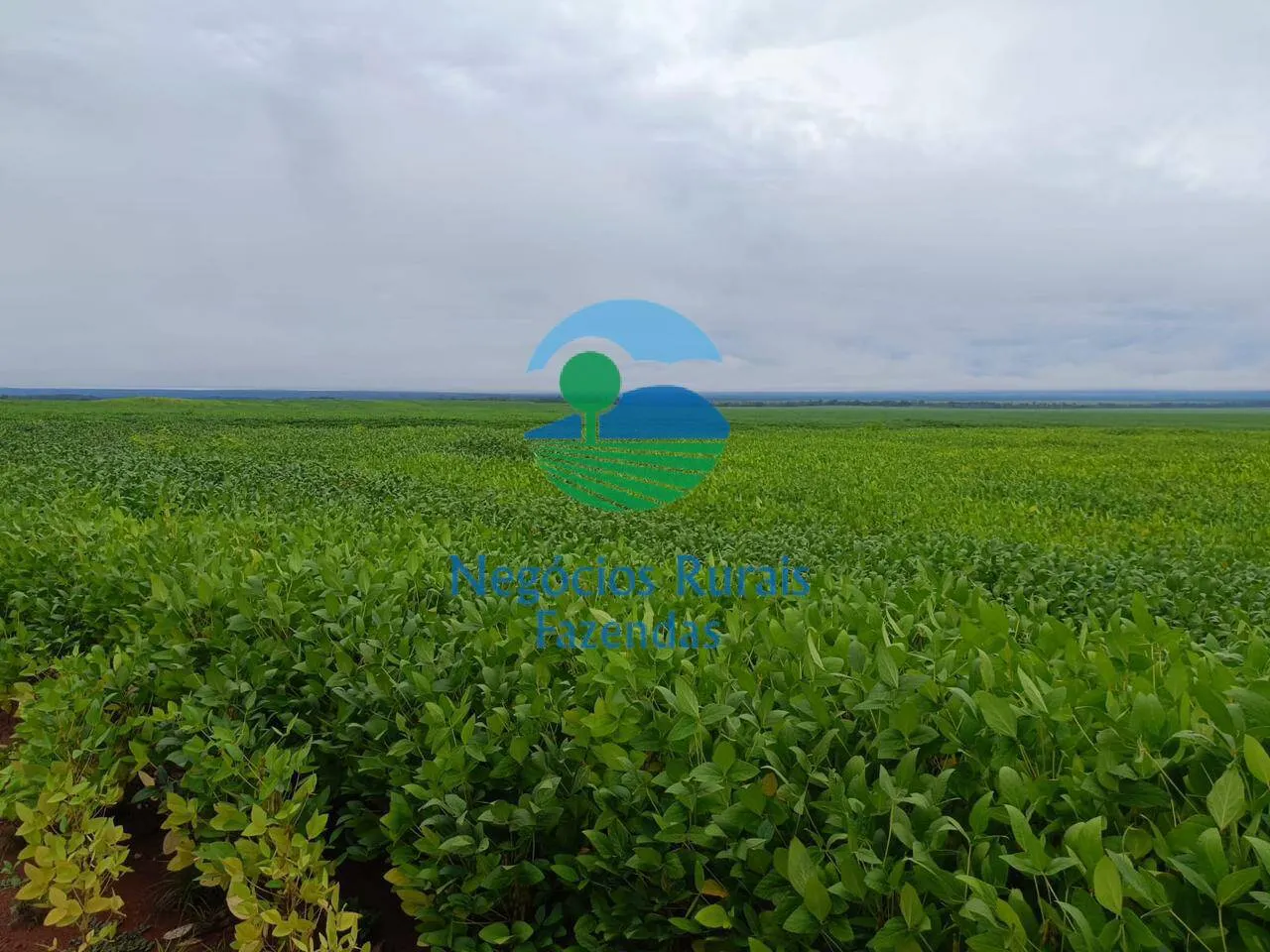 Fazenda à venda de 10.000 ha em Palmas, TO, Brasil