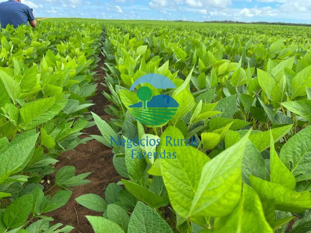 Fazenda à venda de 10.000 ha em Palmas, TO, Brasil