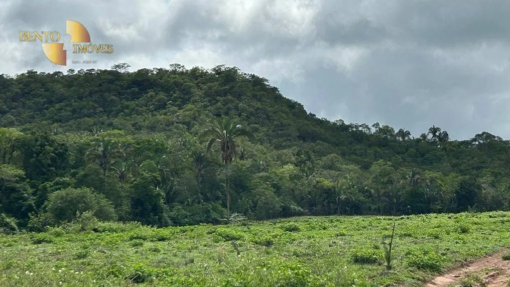 Fazenda à venda de 305 ha em Chapada dos Guimarães, MT, Brasil
