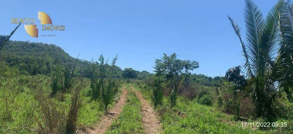 Fazenda à venda de 305 ha em Chapada dos Guimarães, MT, Brasil