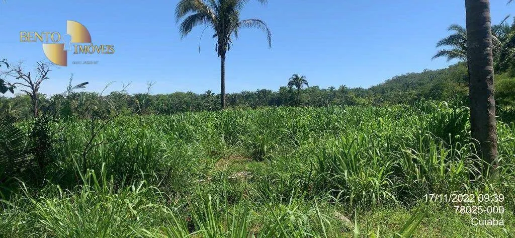 Fazenda à venda de 305 ha em Chapada dos Guimarães, MT, Brasil