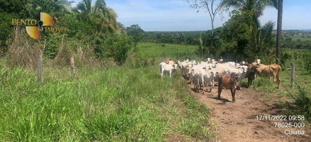 Fazenda à venda de 305 ha em Chapada dos Guimarães, MT, Brasil