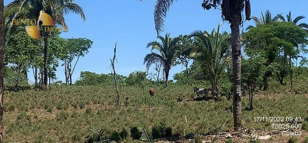 Fazenda à venda de 305 ha em Chapada dos Guimarães, MT, Brasil