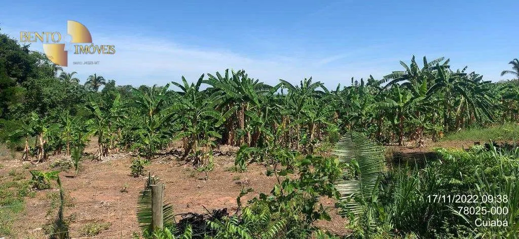 Fazenda à venda de 305 ha em Chapada dos Guimarães, MT, Brasil