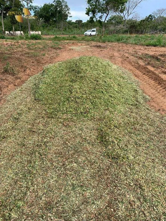 Fazenda à venda de 305 ha em Chapada dos Guimarães, MT, Brasil