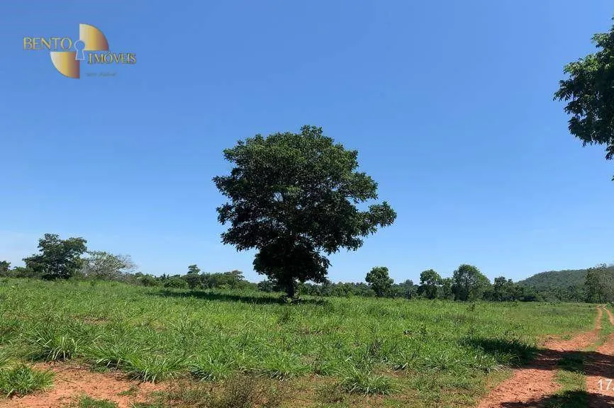 Fazenda à venda de 305 ha em Chapada dos Guimarães, MT, Brasil