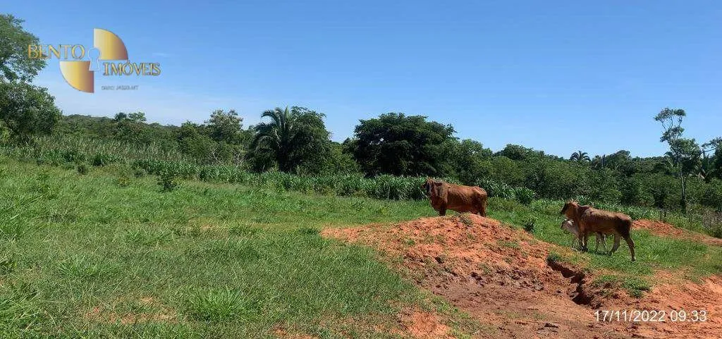 Fazenda à venda de 305 ha em Chapada dos Guimarães, MT, Brasil
