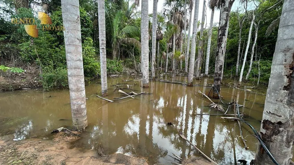 Fazenda à venda de 305 ha em Chapada dos Guimarães, MT, Brasil