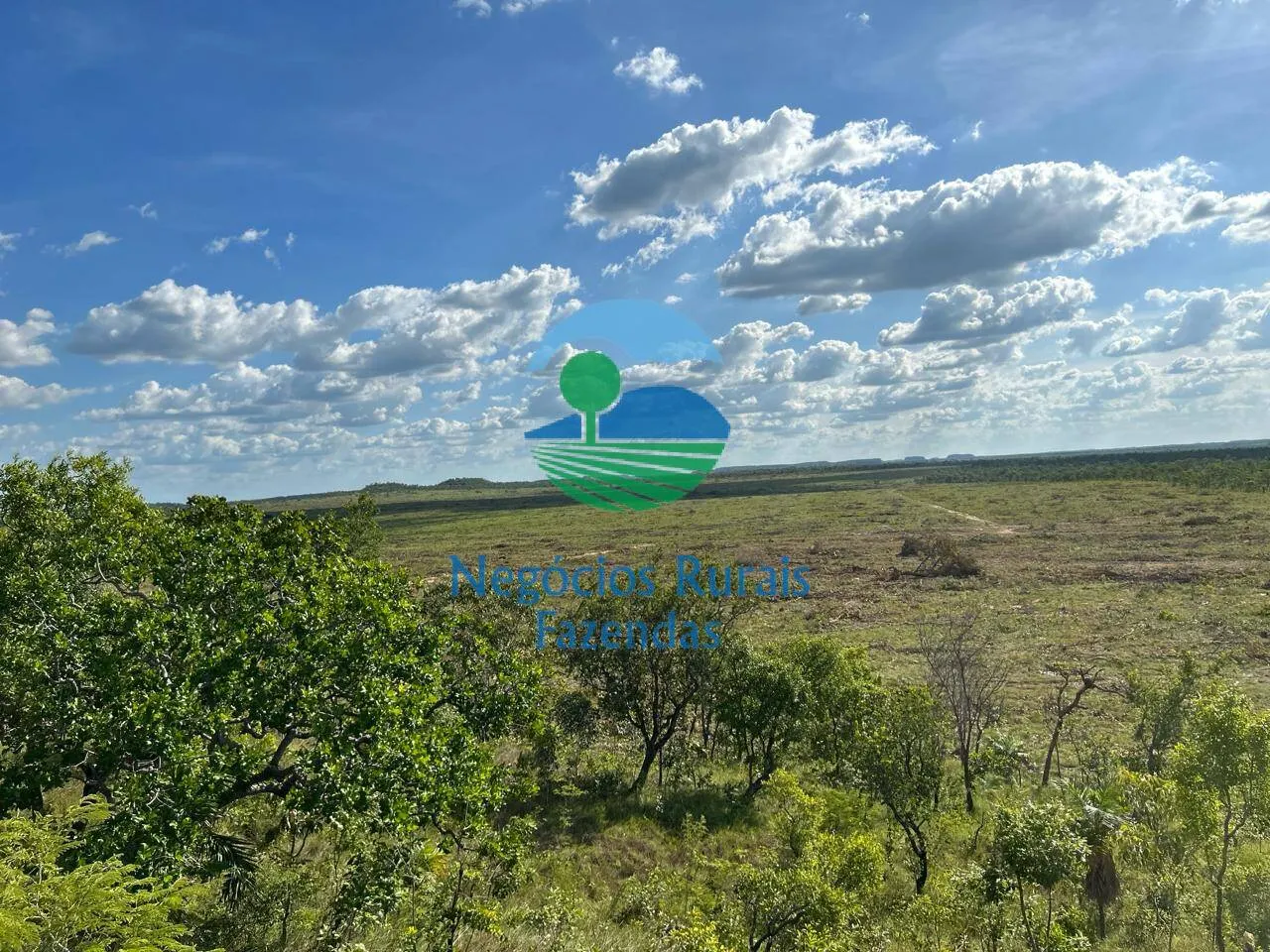 Fazenda à venda e para Arrendar de 4.936 ha em Goiatins, TO, Brasil