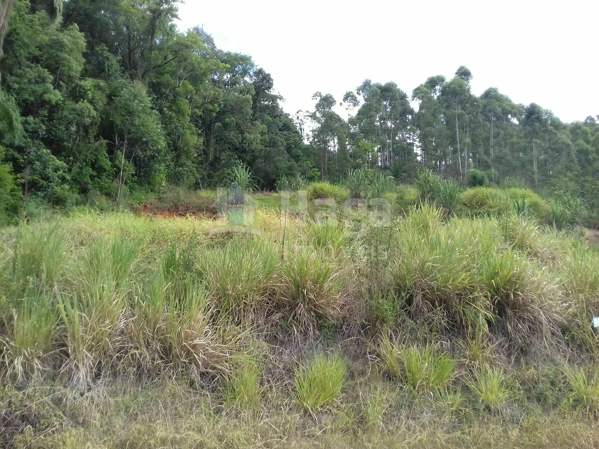 Terreno à venda de 600 m² em Botuverá, SC, Brasil