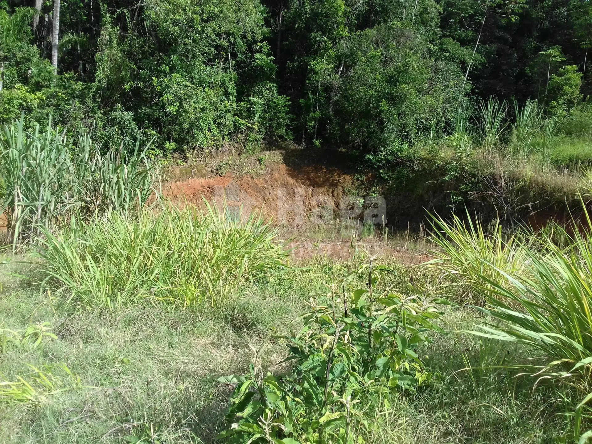 Terreno à venda de 600 m² em Botuverá, SC, Brasil